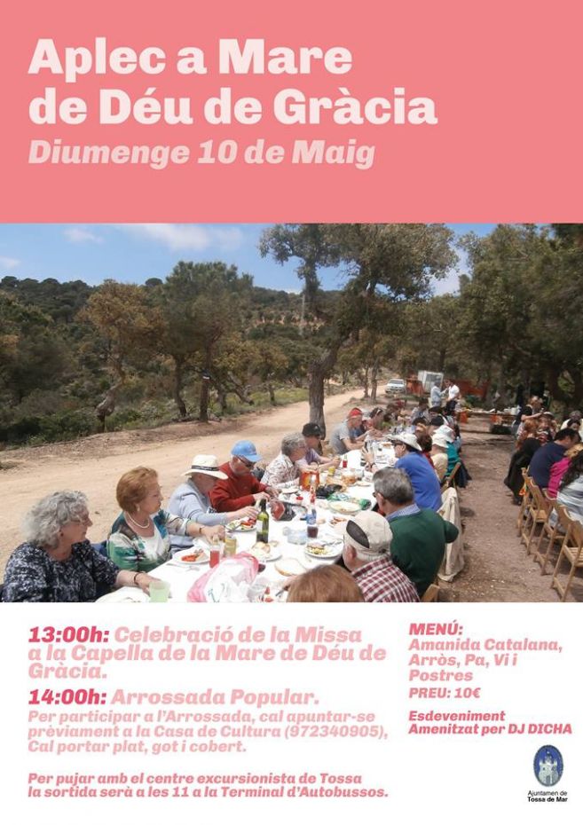 1430820003Cartell Aplec Mare de Deu de Gracia 2015.jpg